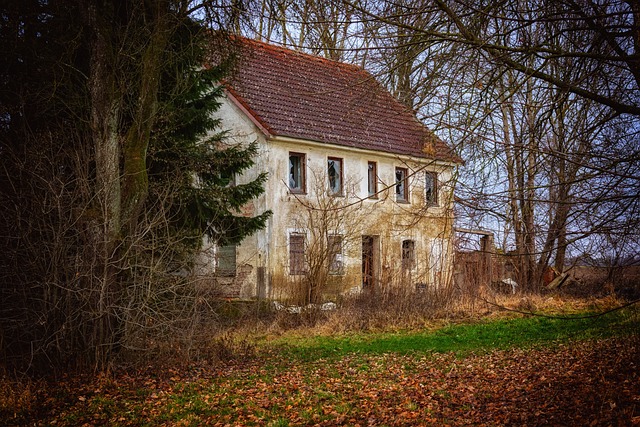 starý dům